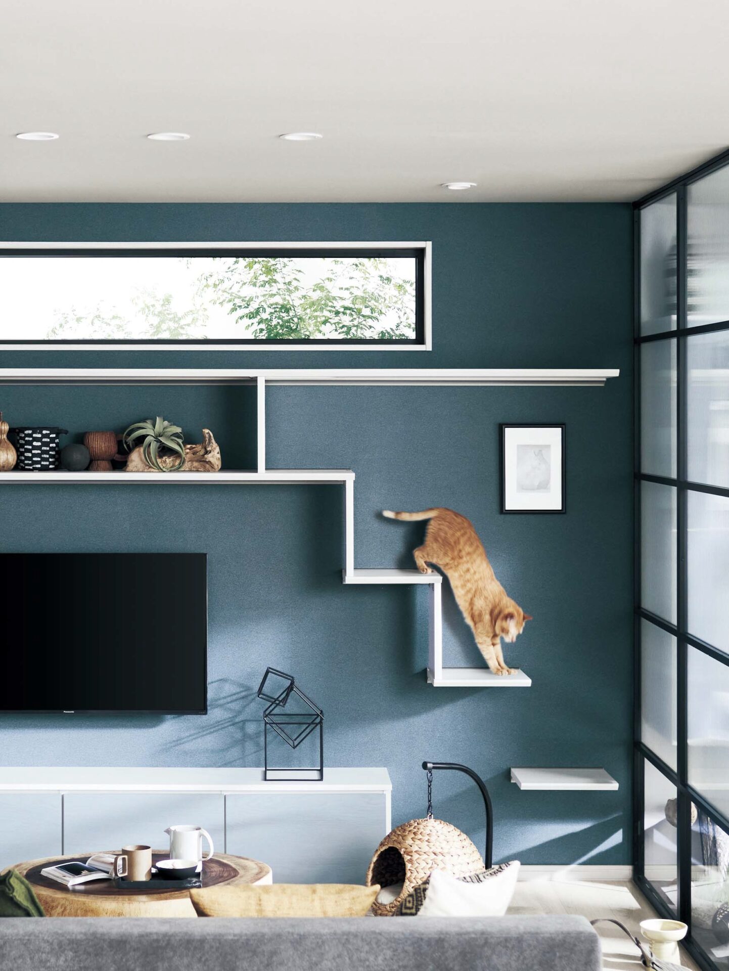 におい・音・傷・快適さを考えた「ペットリノベ」のすすめ