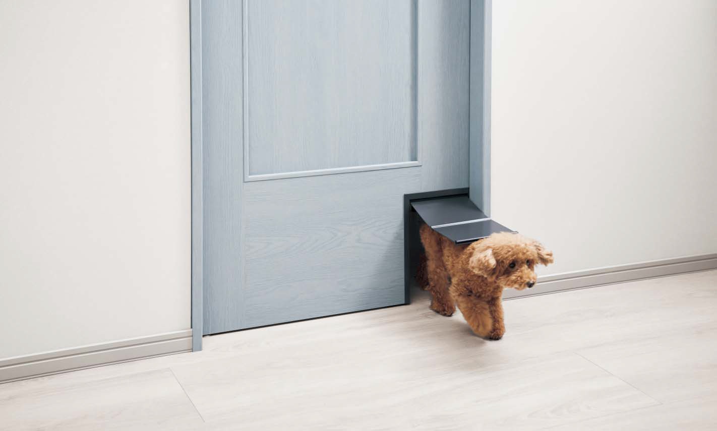 ペットの足元から考える、やさしい住まいづくり