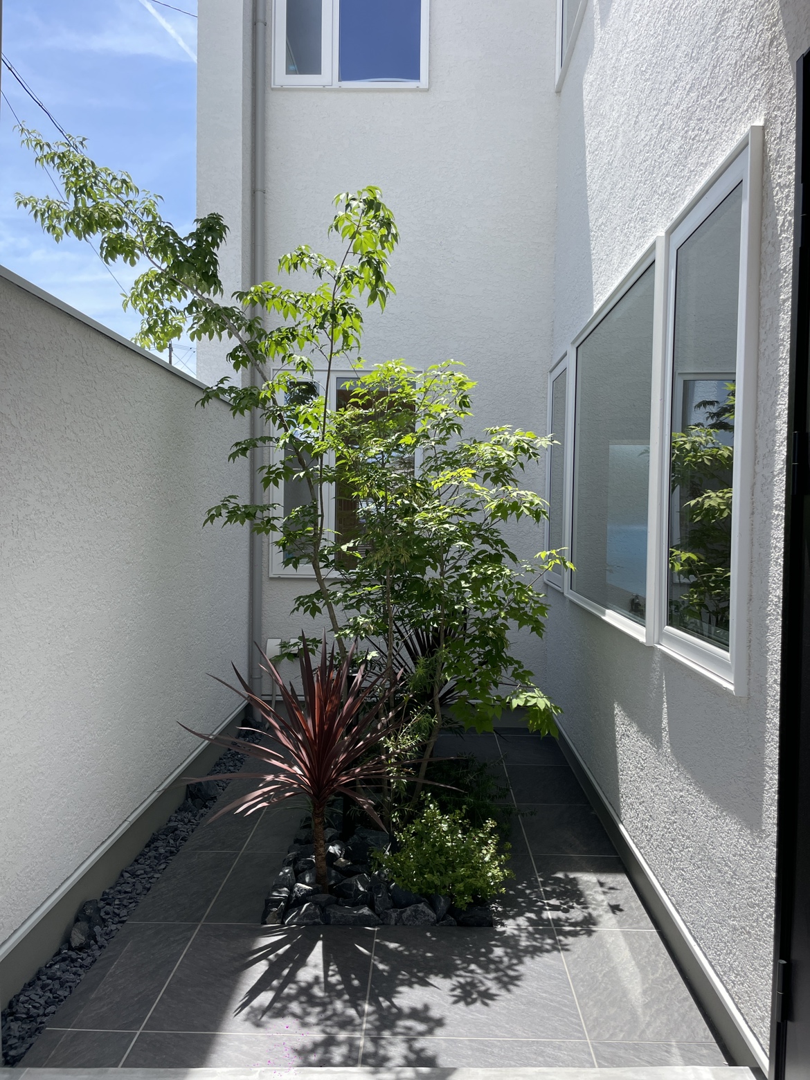 暮らしの中に、光と緑を取り込む中庭