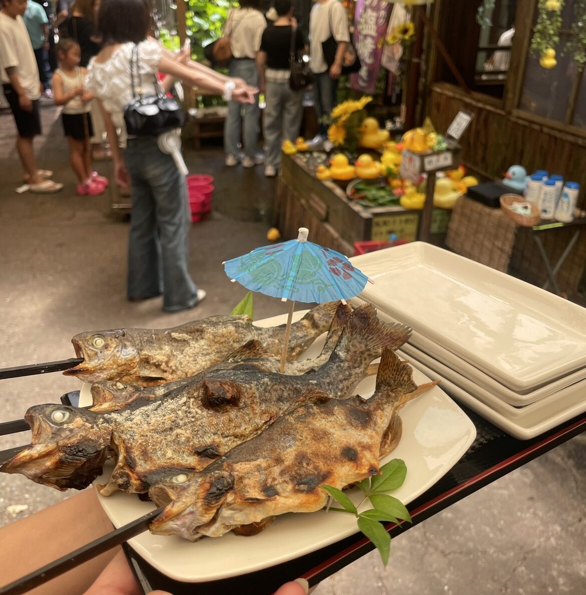 夏休み、自然の中でリフレッシュしてきました♪